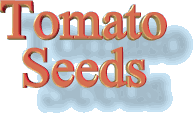 Free Tomato Seeds